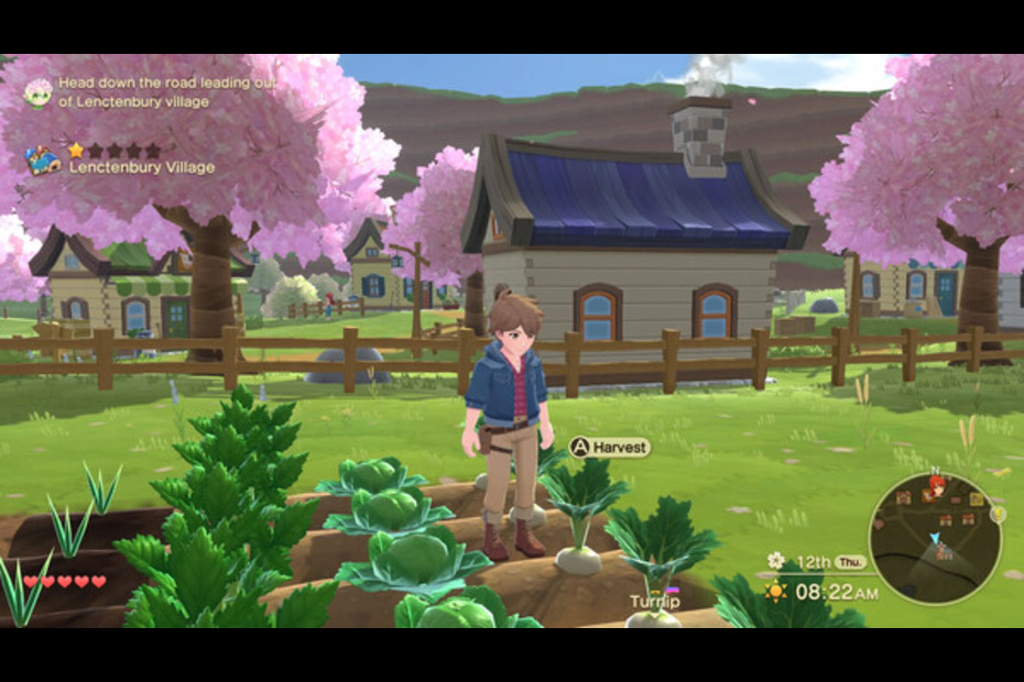 Image by steam